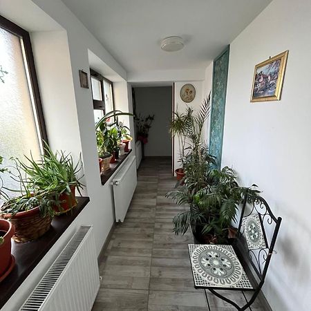 Solaria Budget Studio Galaţi Екстериор снимка